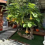 Kayezta Hotel Alaçatı