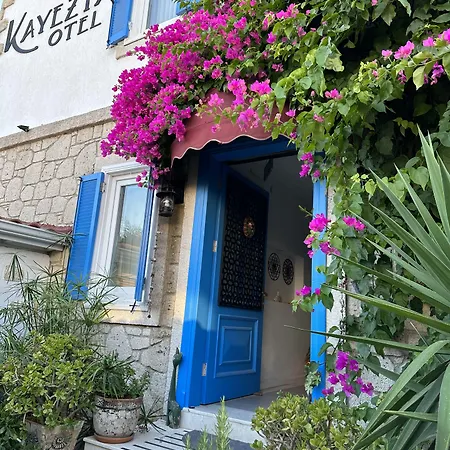 호텔 Kayezta