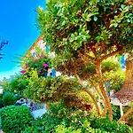 Kayezta 2* Alacati
